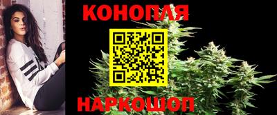 стаф Камышлов