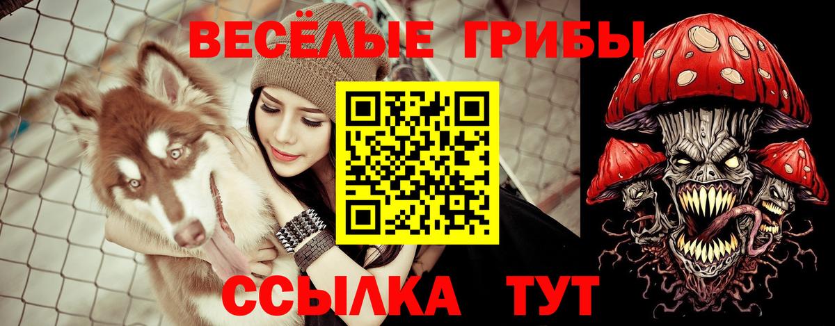 наркотики  Вход с VPN  Красноярск  Псилоцибиновые грибы GOLDEN TEACHER 