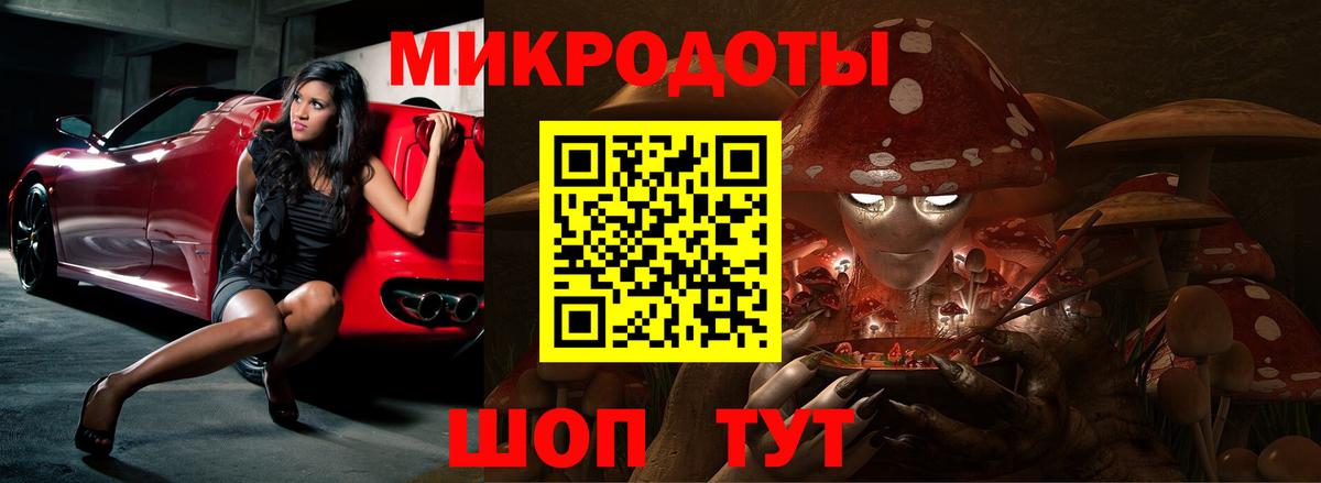 Галлюциногенные грибы Psilocybe Красноярск
